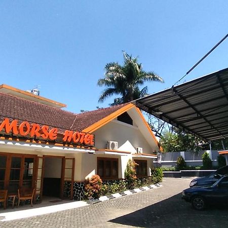 Morse Guest House Маланг Экстерьер фото