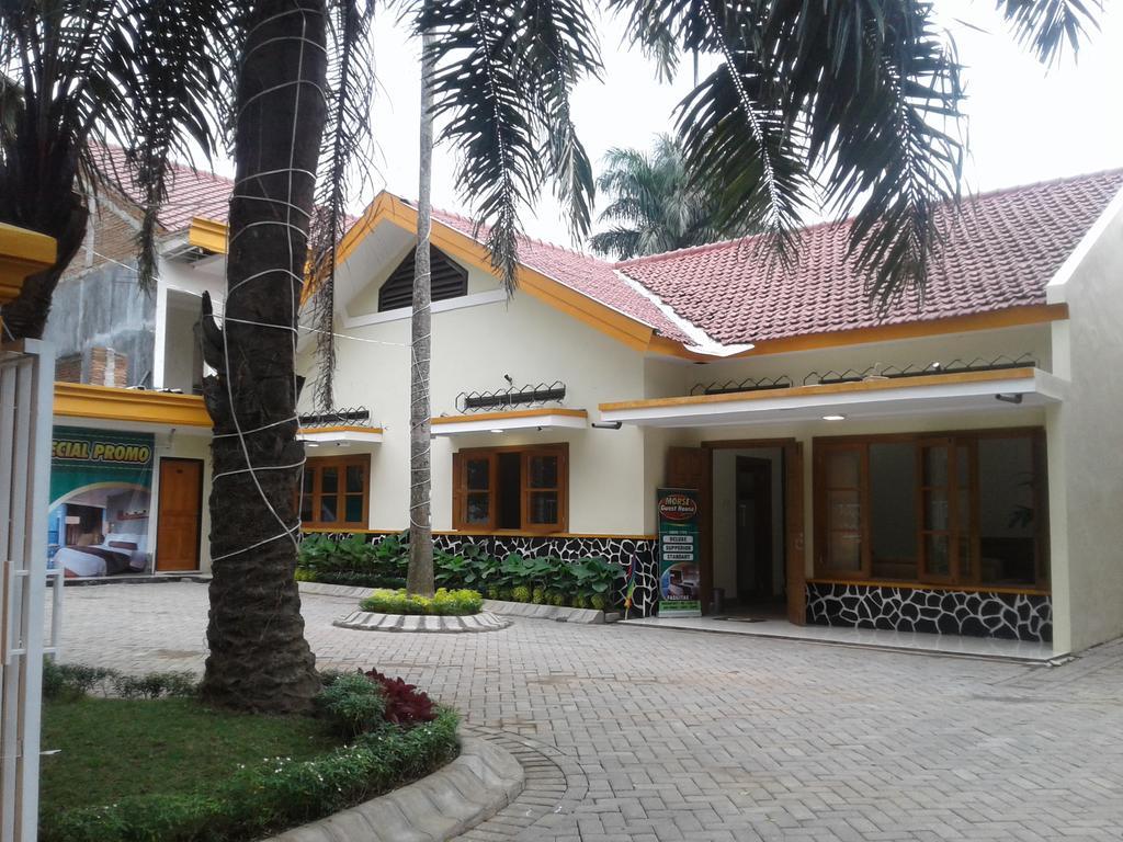 Morse Guest House Маланг Экстерьер фото